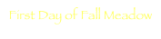 First Day of Fall Meadow